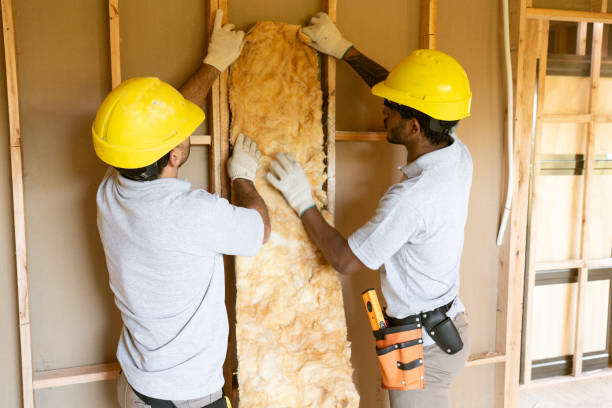 Best Basement Insulation  in El Campo, TX